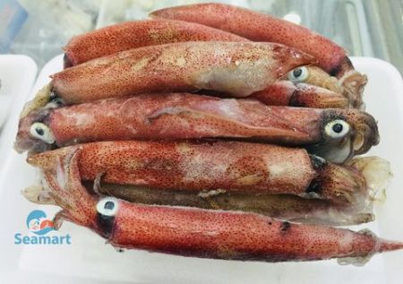Mực ghim sữa